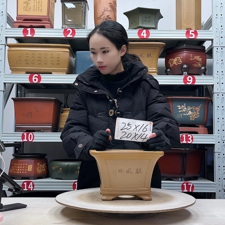 紫砂花盆紫砂花盆