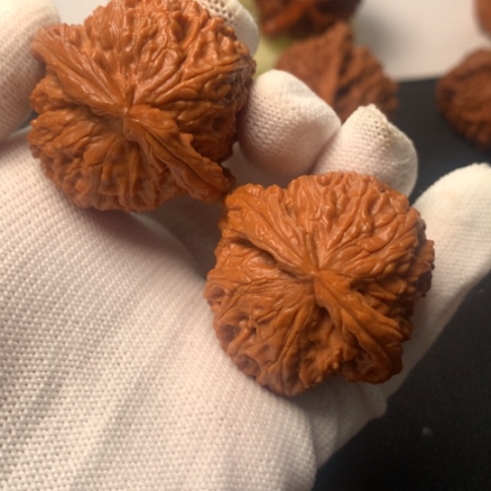 把件文玩核桃核桃核桃