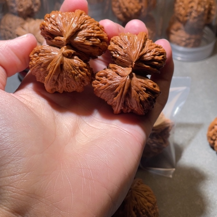 文玩核桃吊坠白狮子连体