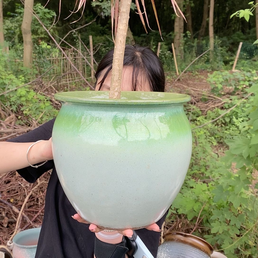 紫砂花盆正品25/24