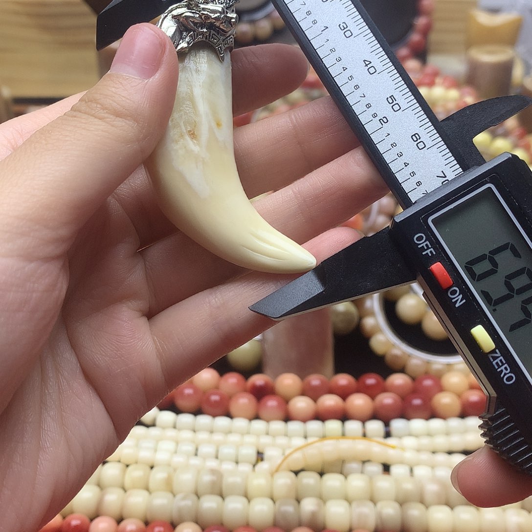 全品骆驼牙1111111111