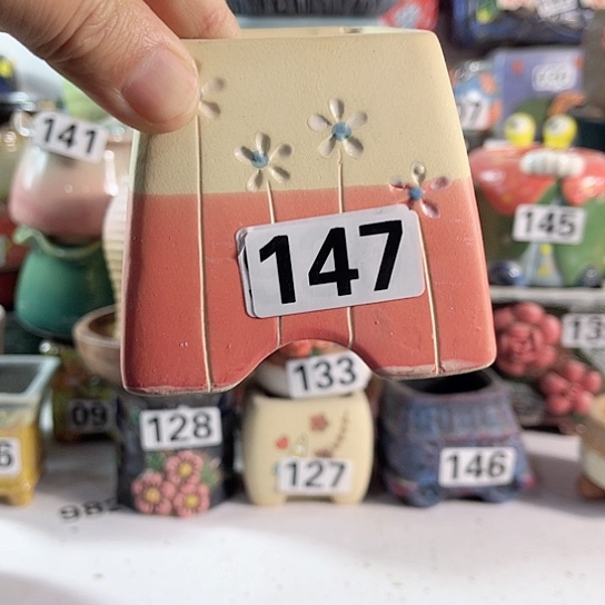 红陶多肉植物花盆