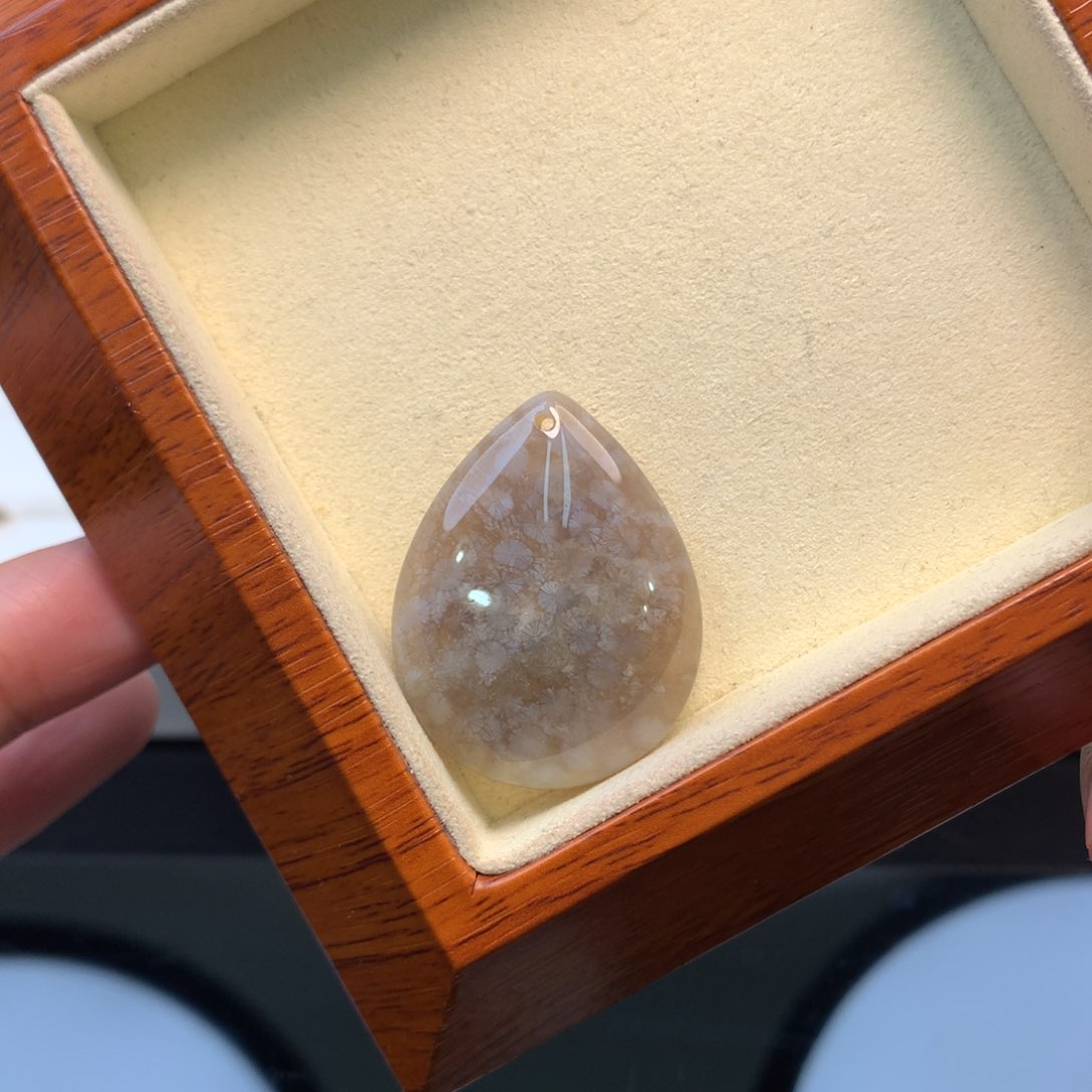 硅化珊瑚（珊瑚玉）颈饰未镶嵌
