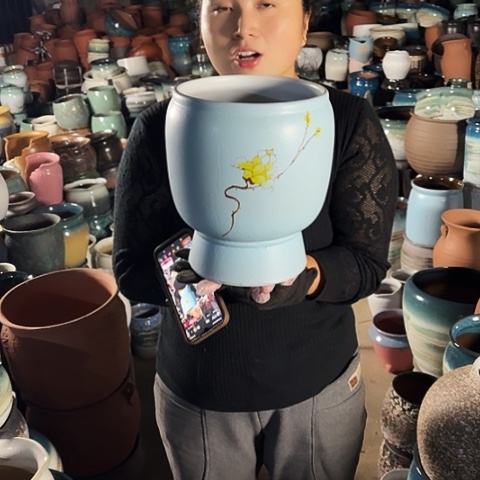 20口25高瑕疵一个盆子。