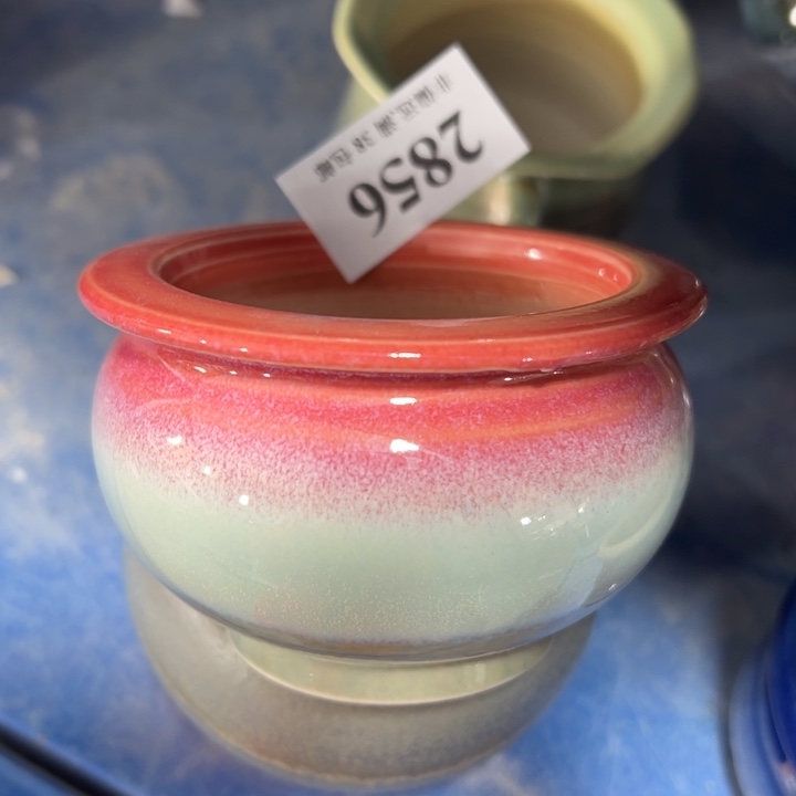 口6高6 ……特价清仓