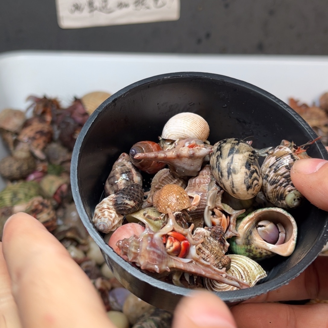 耿***店这两句真的好好啊哈哈