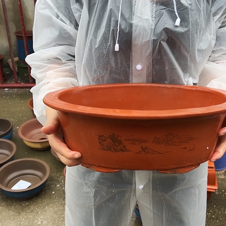 30红椭圆花盆花盆花盆花盆
