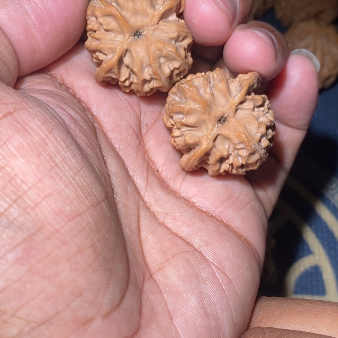 大***胖吊坠文玩核桃33尺寸全品无修苹果园