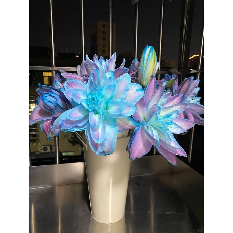 【星空】重瓣香水百合 一单包邮 云南鲜花昆明基地现采现发