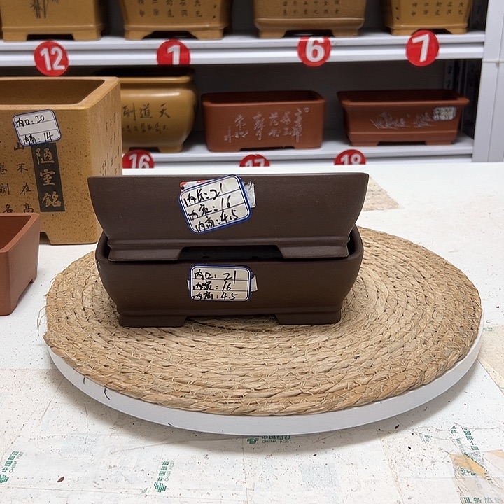 紫砂花盆蛇年大吉