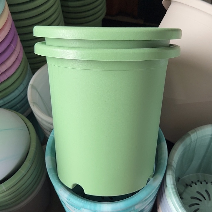 微瑕7#口径33浅绿6个无托