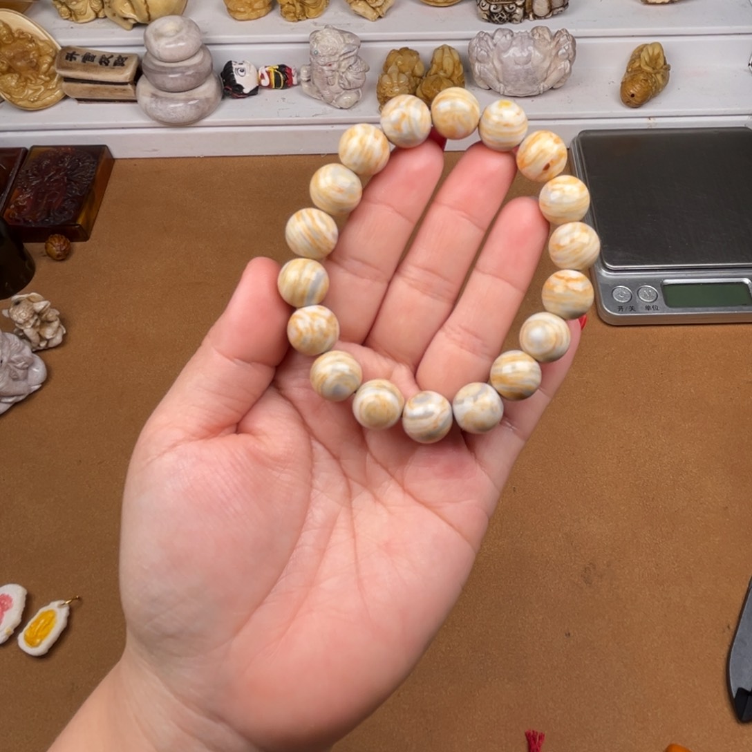 其他驼骨猛犸臼齿