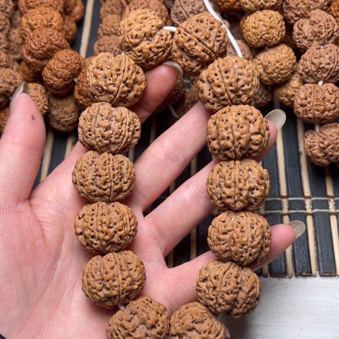 菩提24号金刚菩提梁梅花25.5/26