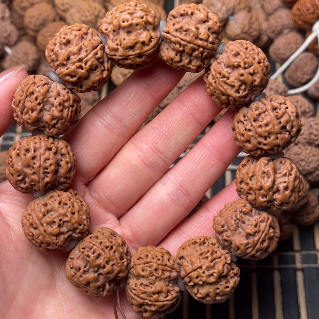 菩提尼泊尔大金刚原生态双龙23