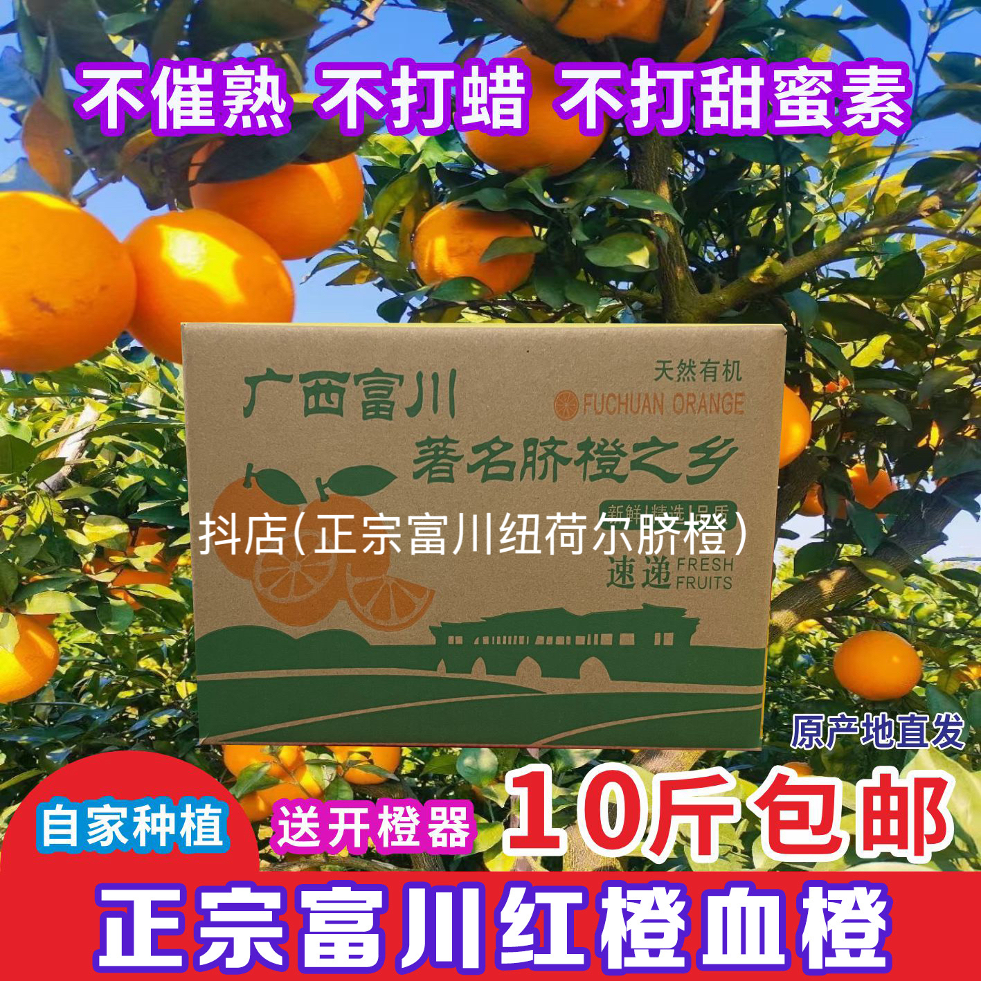 正宗广西富川红橙新鲜甜橙子当季手剥橙孕妇水果血橙富川产地直发