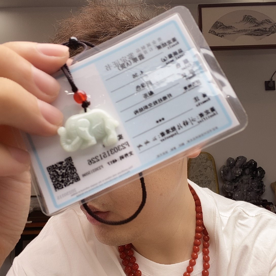 翡翠未镶嵌颈饰qqq