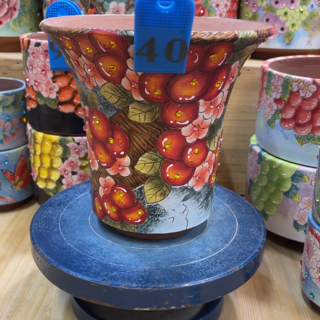 多肉花盆万象果子