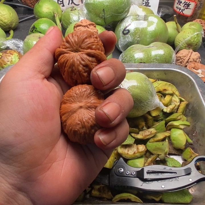 蛤蟆 蛤蟆头蛤蟆头