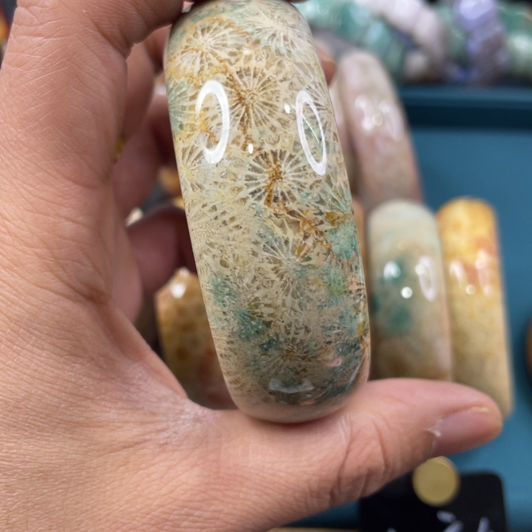 未镶嵌手镯硅化玉