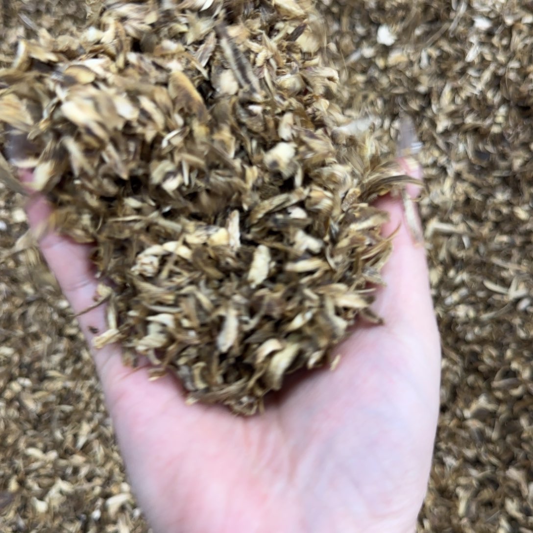 香料老白棋勾丝老料100克克克克