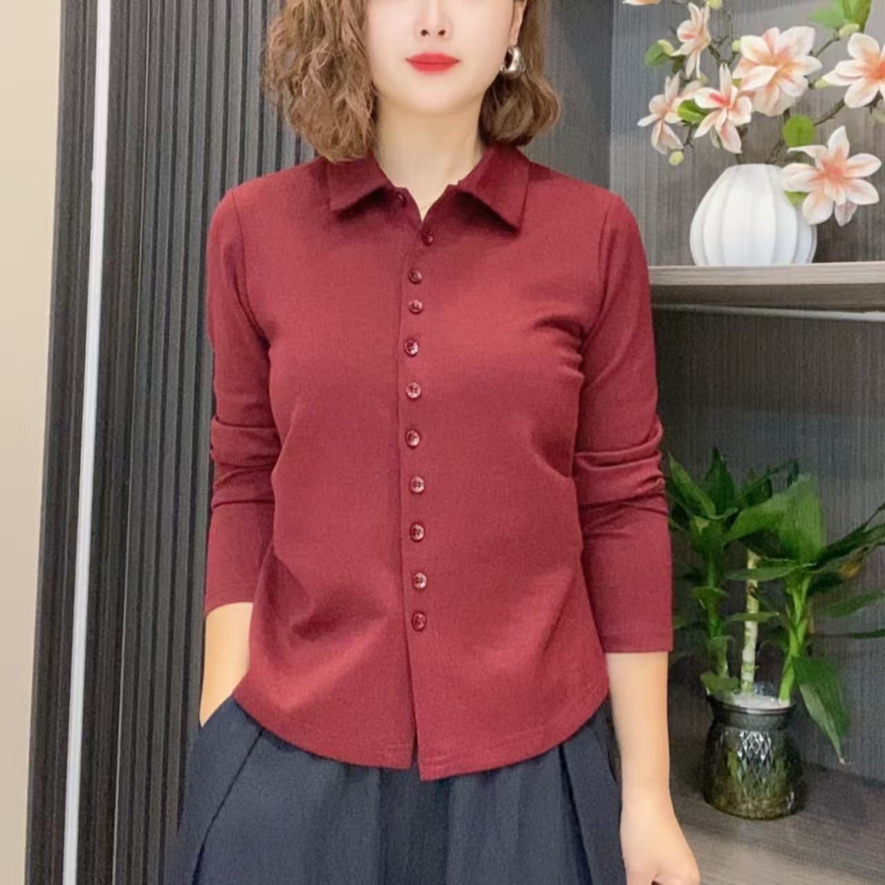 2025秋季气质时尚显瘦遮肉女士气质翻领长袖上衣9991