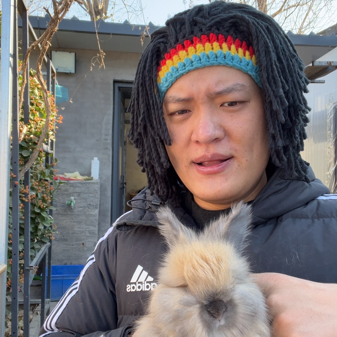 宠物兔英系安哥拉兔