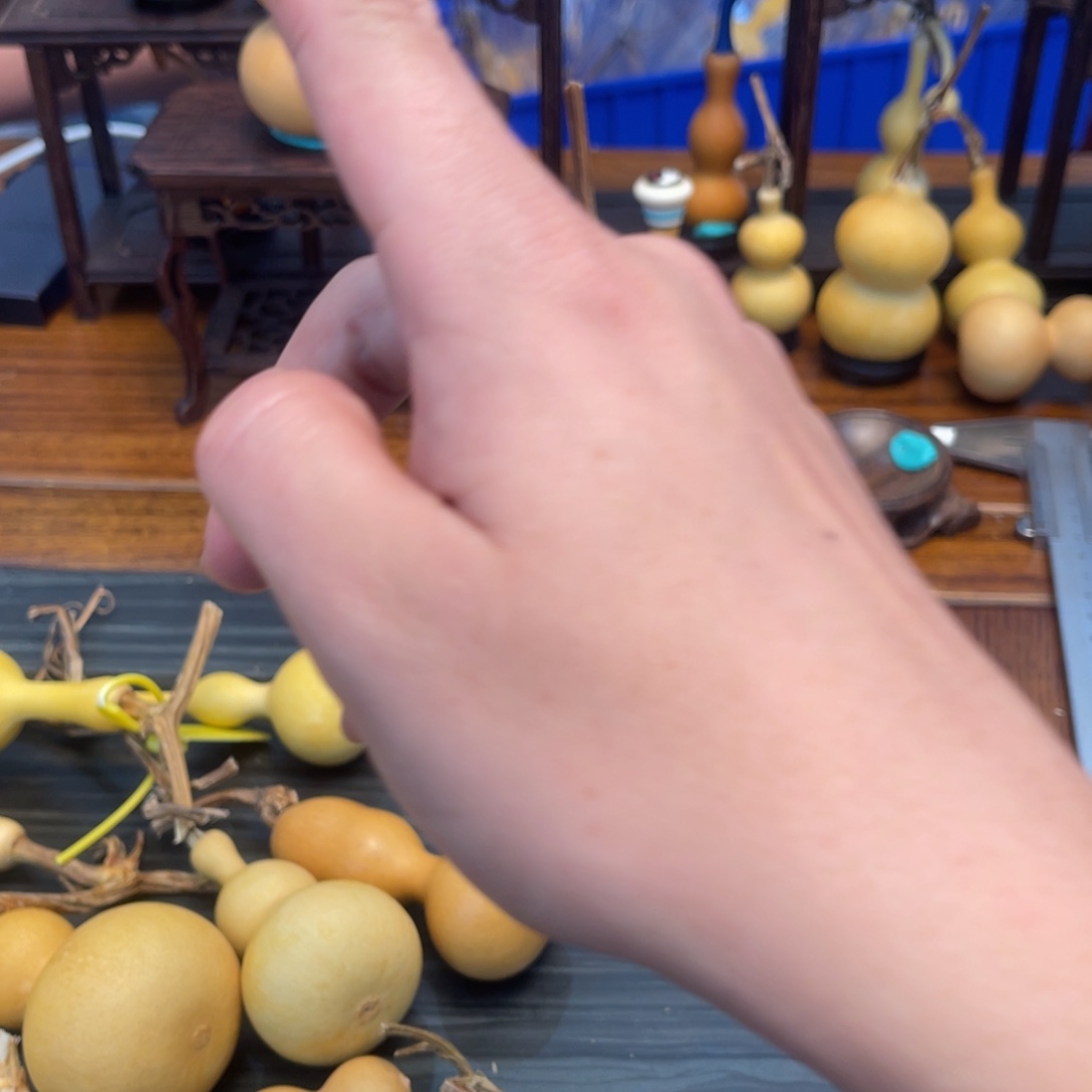 八宝葫芦啊宝葫芦