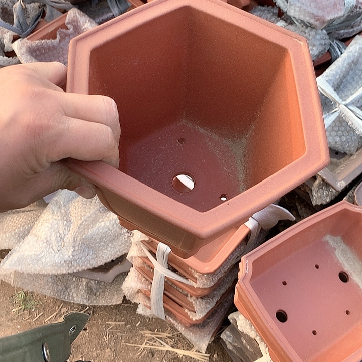 紫砂哈哈真的是太给力太