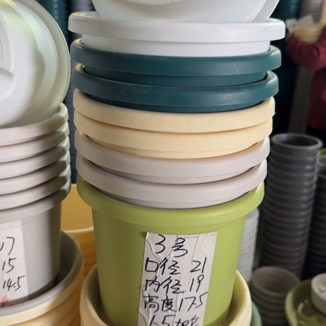 四季3#口径21带拖果绿10套