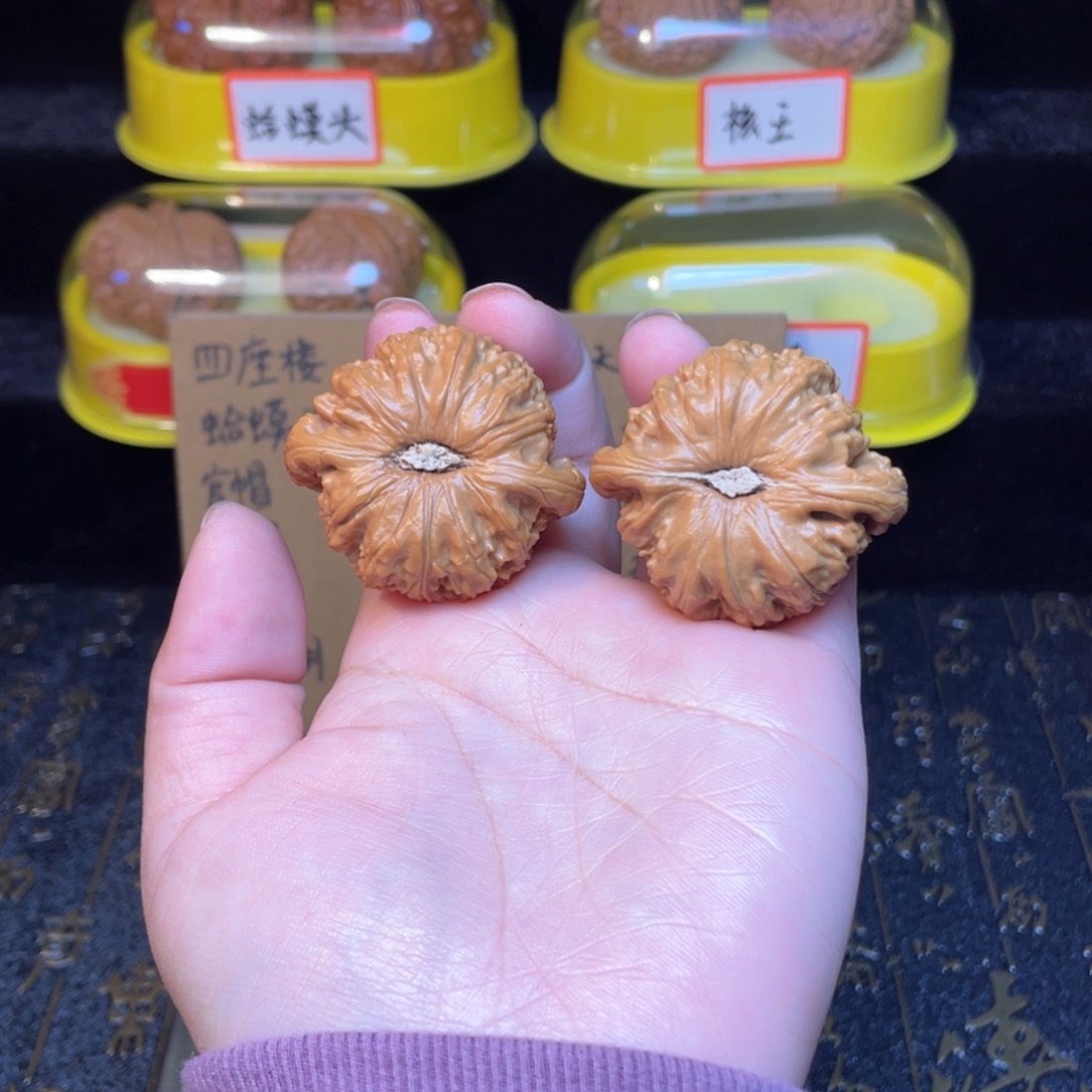 文玩核桃把件白狮子41尺