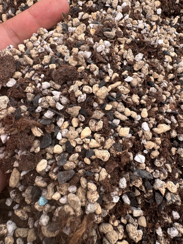 花谈小店十二卷玉露寿克里克特配方专用土1升