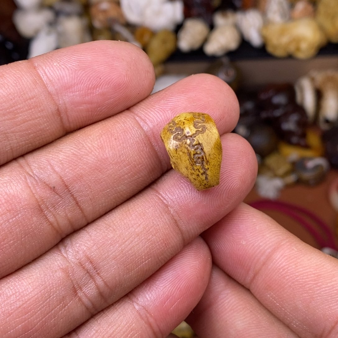 其他驼骨人工样子