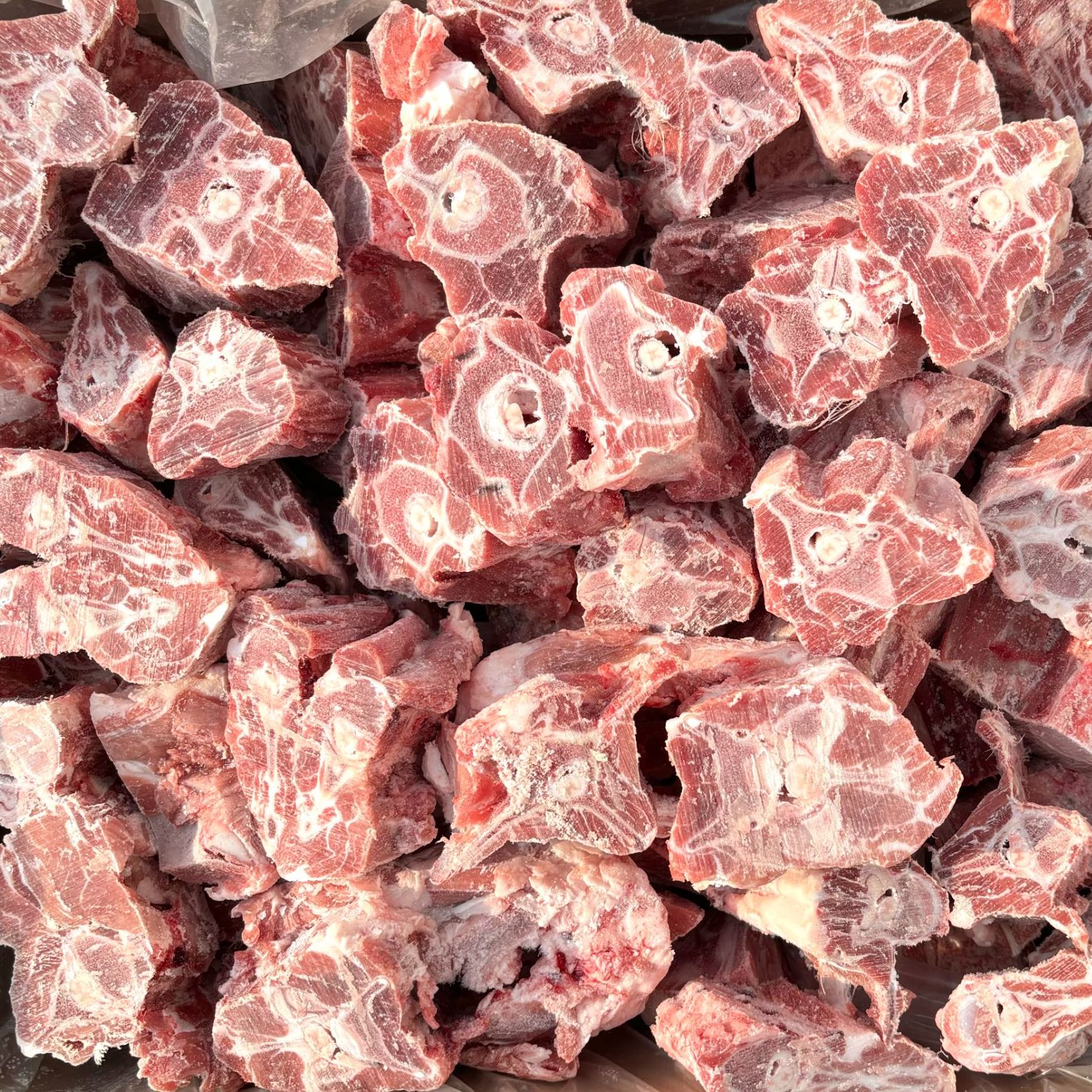 内蒙锡盟清真羔羊羊蝎子20斤/箱