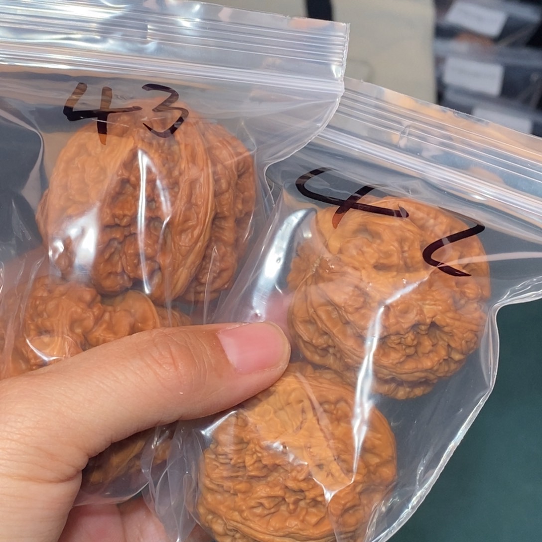 文玩核桃吊坠42和43粗筋