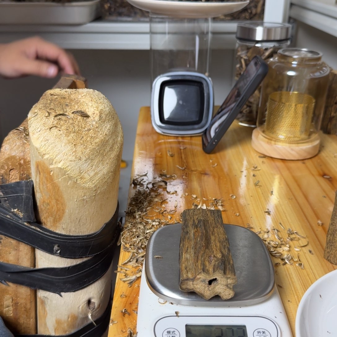 沉香东江绿虫漏香36克