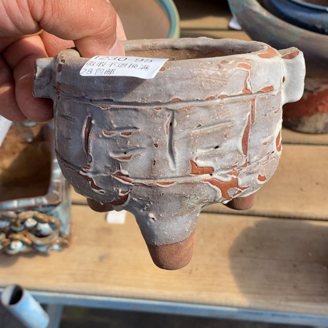 95号花盆内8高9花盆