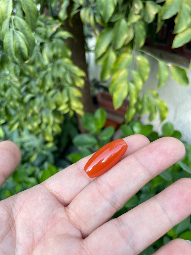 18号:福利南红（樱桃红带肉勒子）