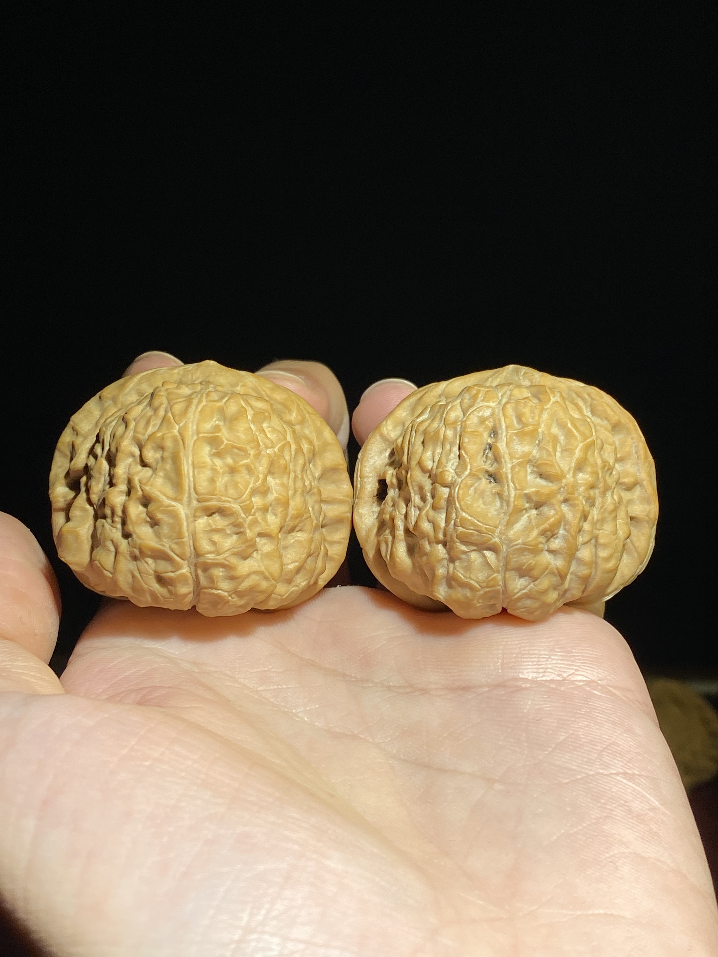 南瓜墩 边43肚44高35