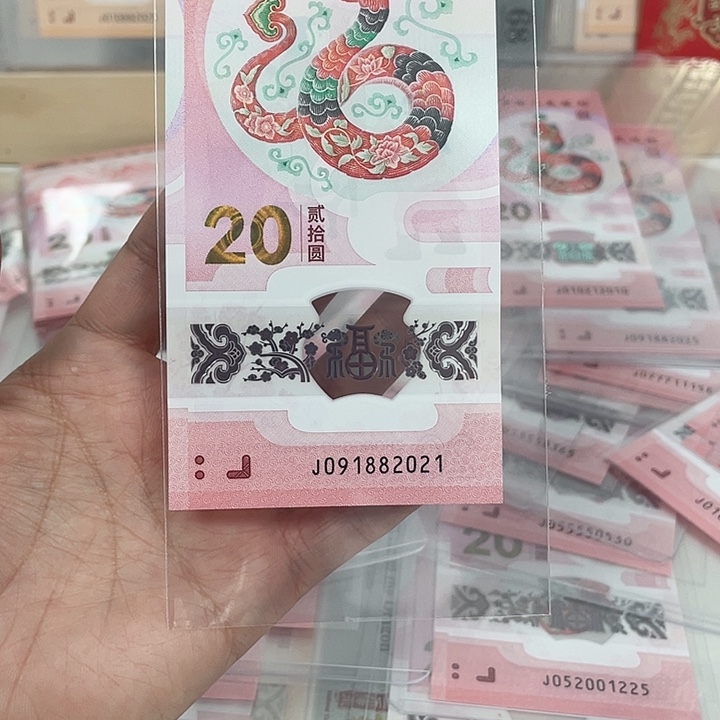 塑料蛇钞-2021—————————