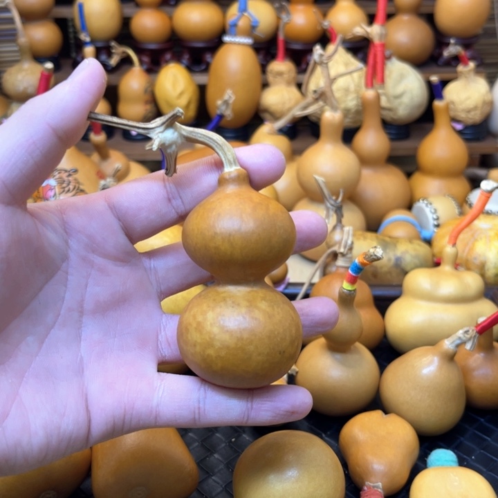 花叶病八宝轻微甩肚4