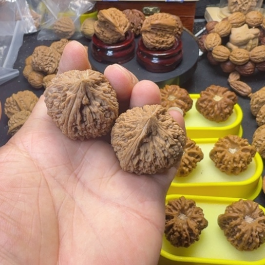 文玩核桃把件大蒜头38