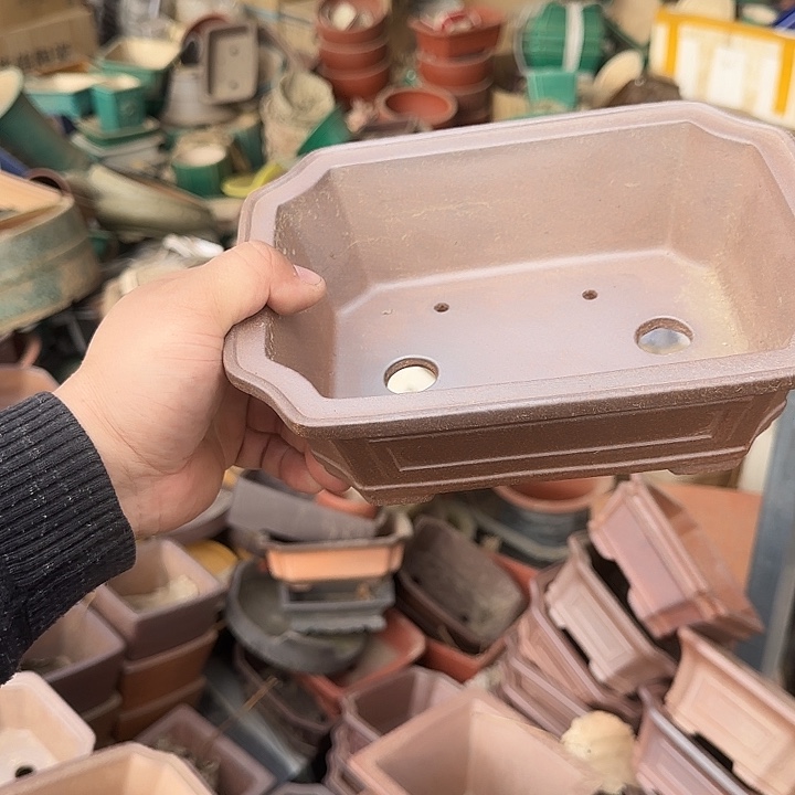 是一个不知名作家与著名导演兼电影演员们之间互相竞争关系也比较