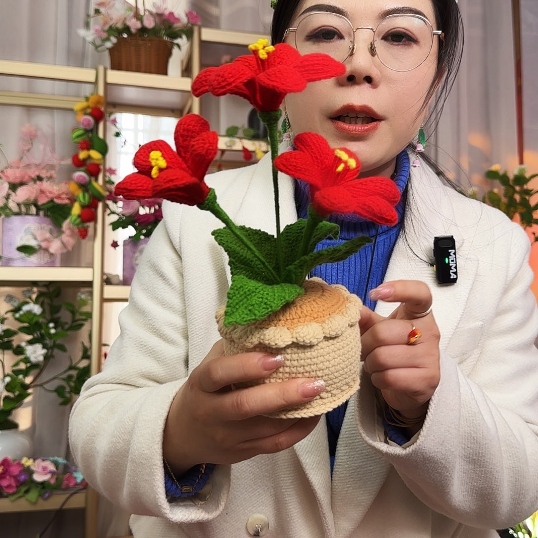 手工钩织制作盆栽