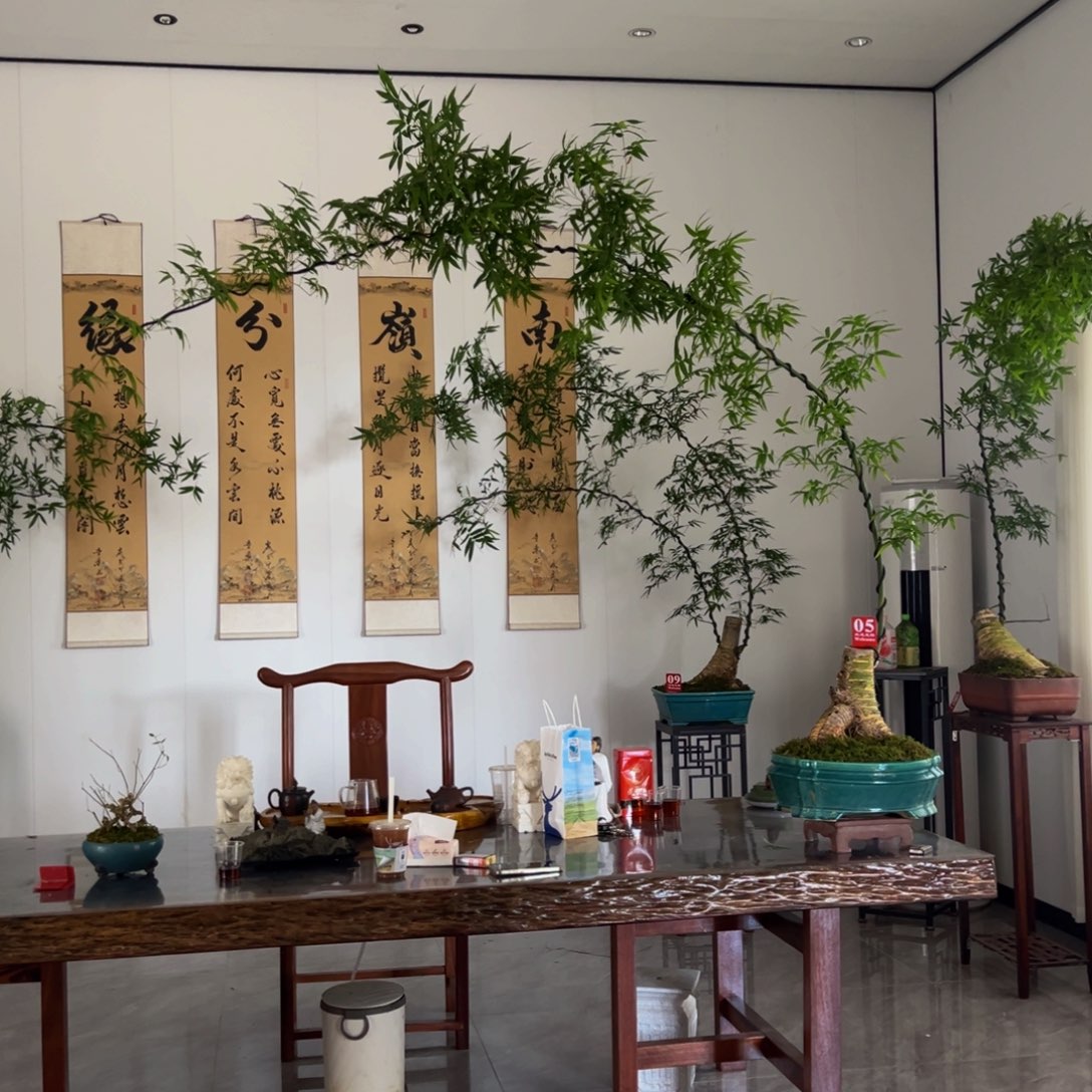 无花朵两颗连体大飘