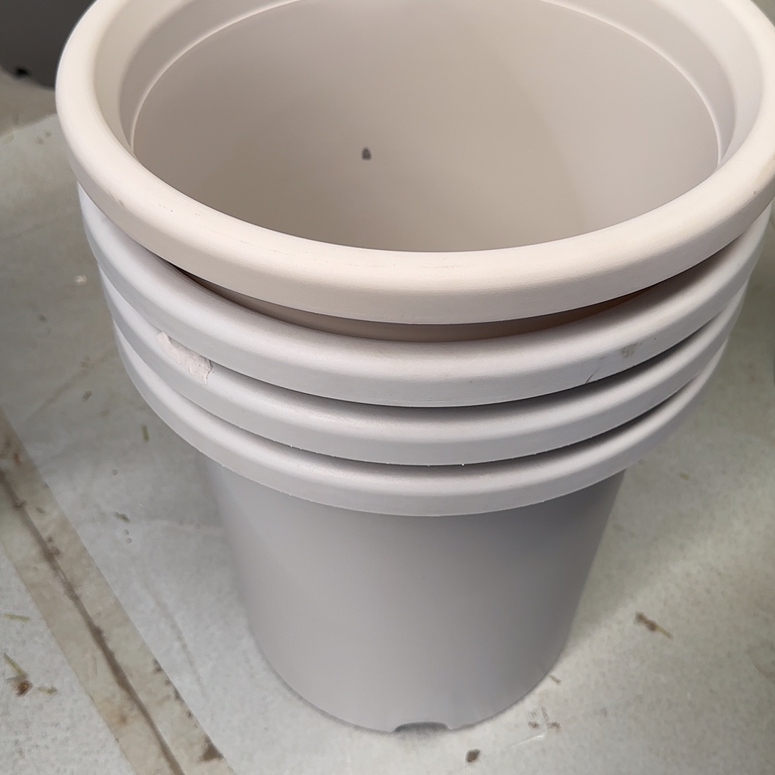 花盆编号6540，7号无托