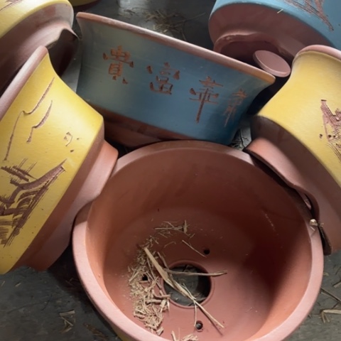 紫砂花盆100-6。                