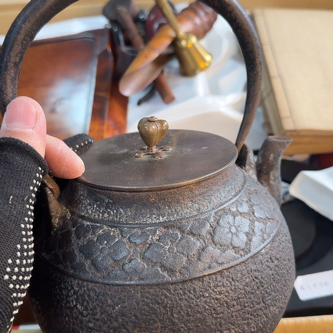 紫砂果果果果老林老林老林了山**蛇