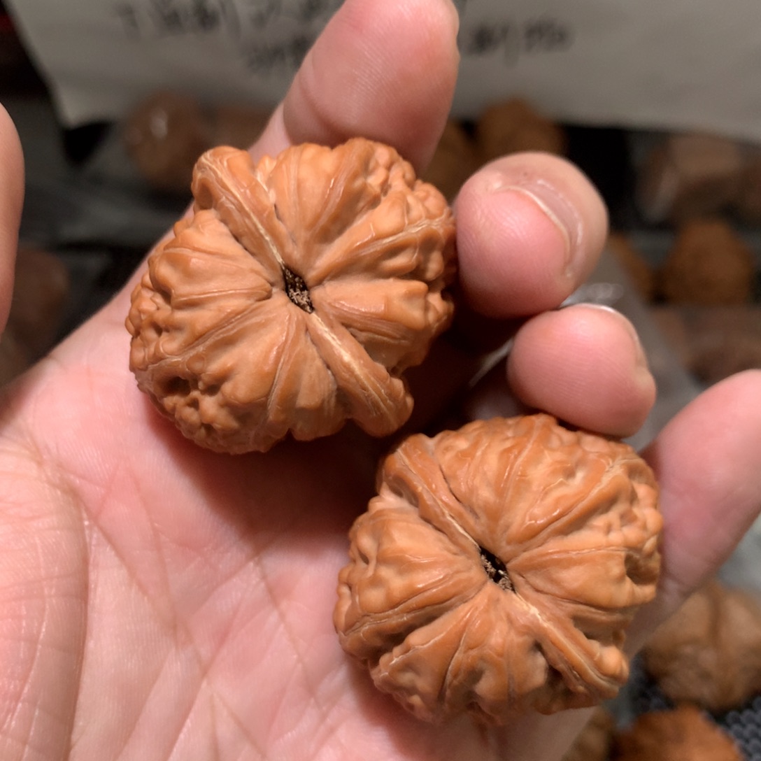 钱****文玩核桃把件钱哥专拍元宝