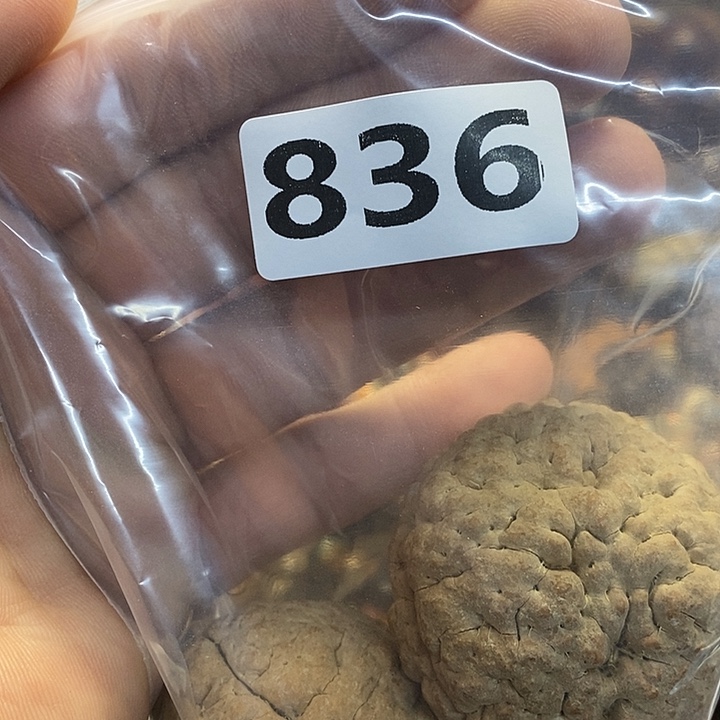 吊坠橄榄核文化交流