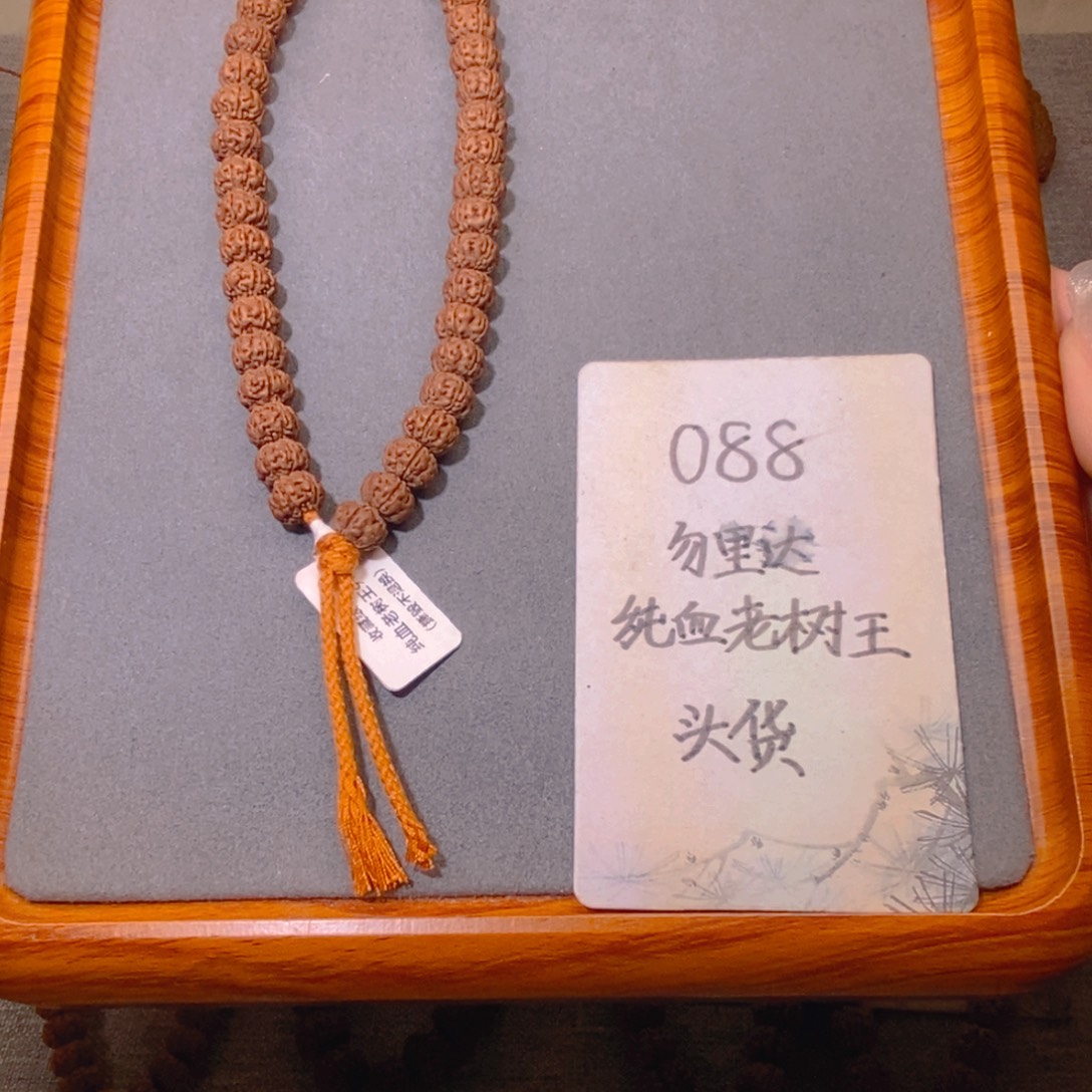 吊坠金刚菩提088头货勿里达纯血老树王9.3